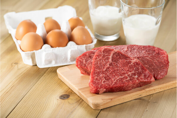 PROTEIN JAPAN 2023イメージ02